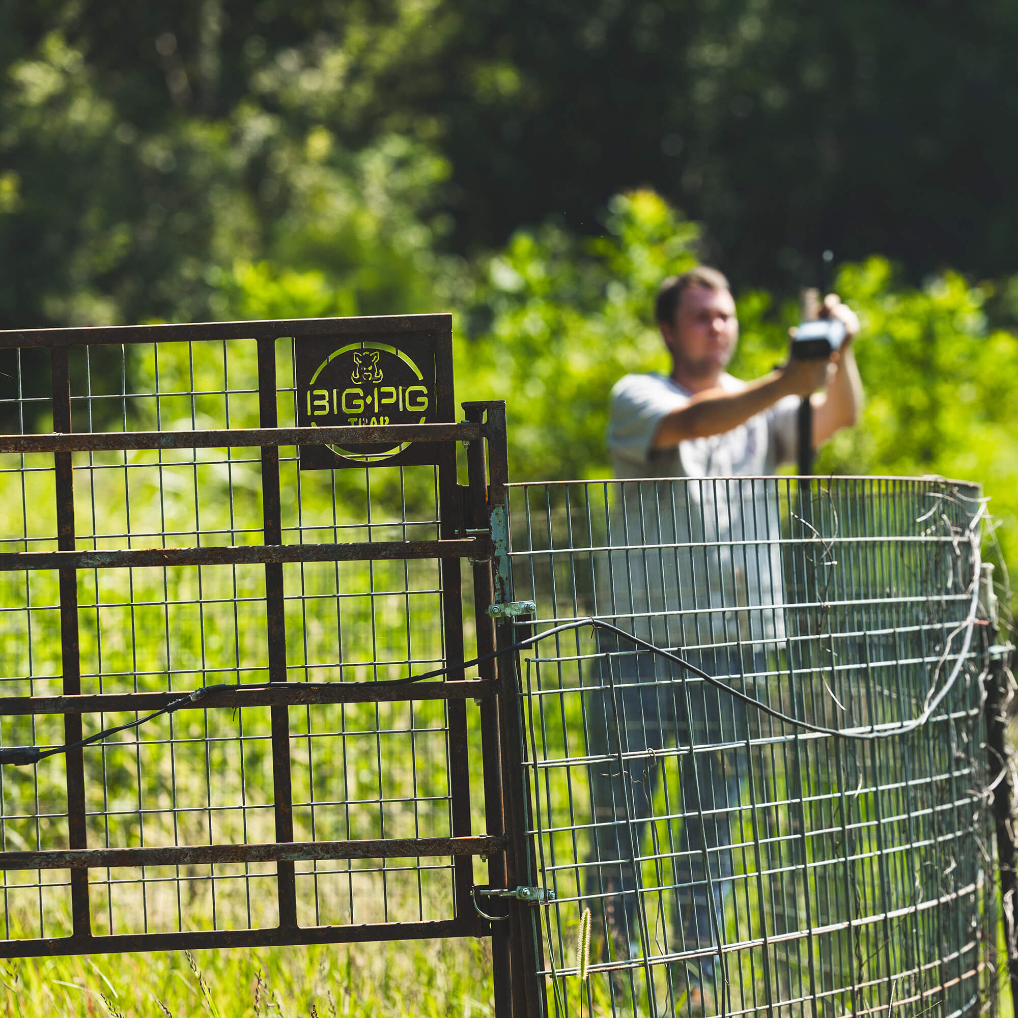 Split Gate w/HogEye Camera