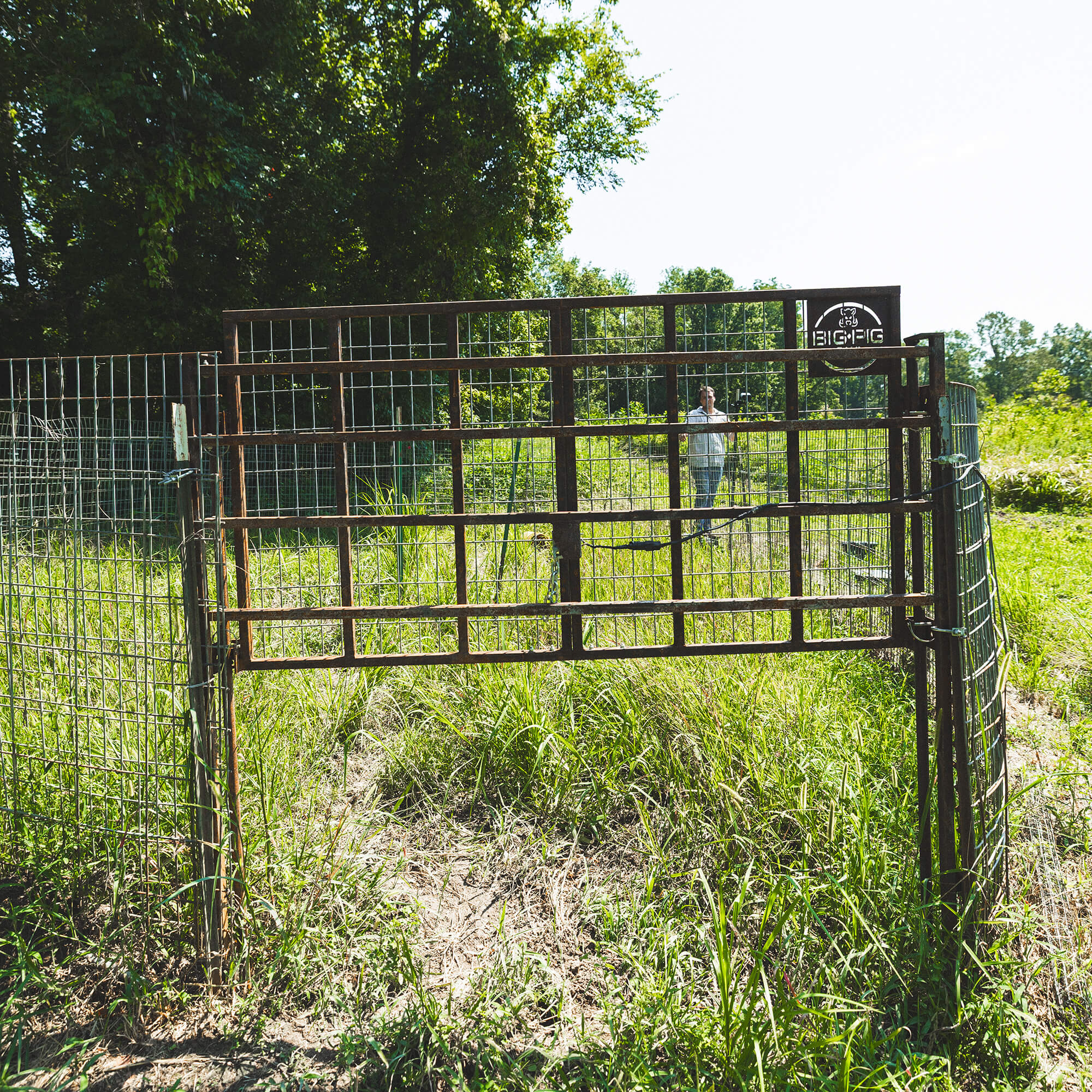 Split Gate w/HogEye Camera