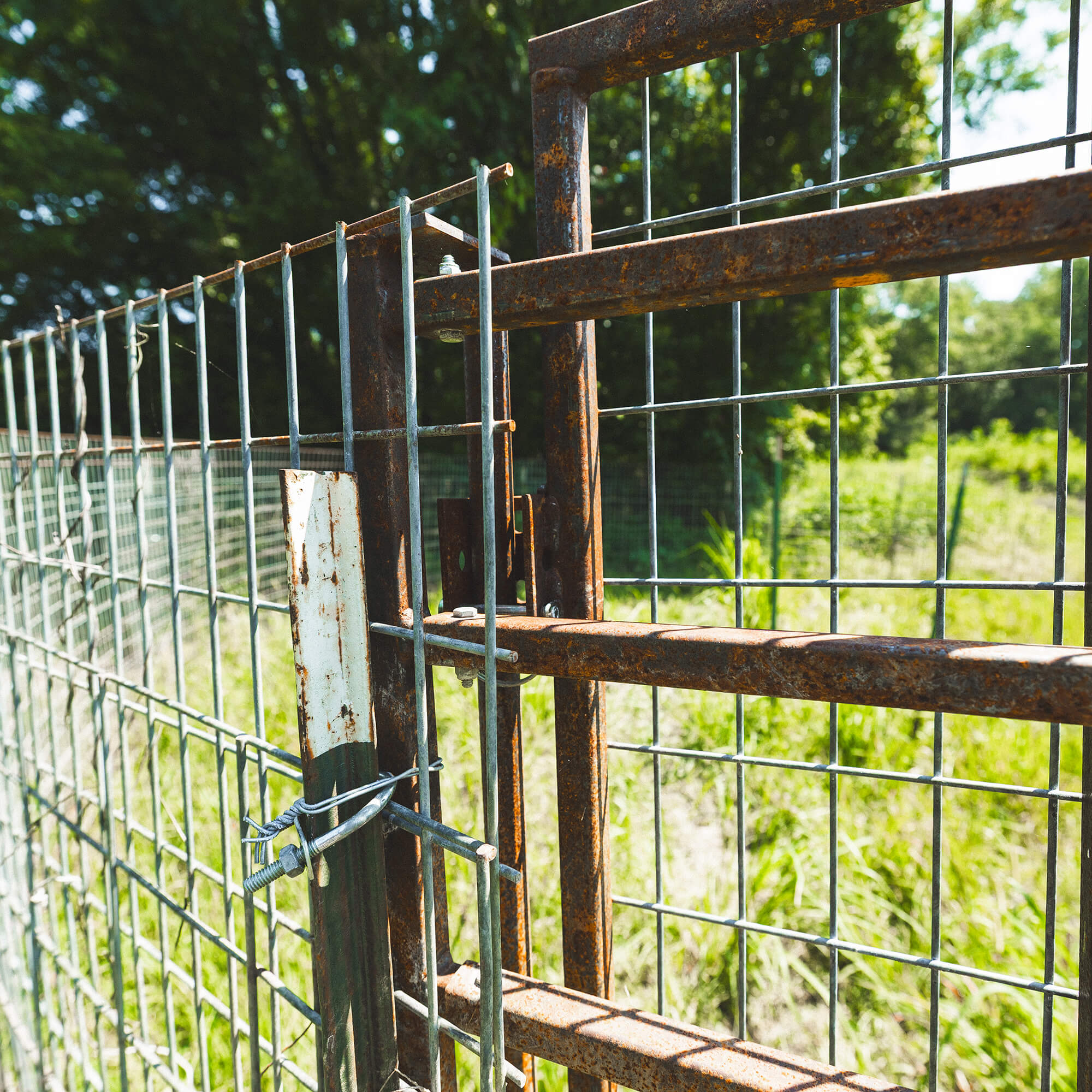 Split Gate w/HogEye Camera