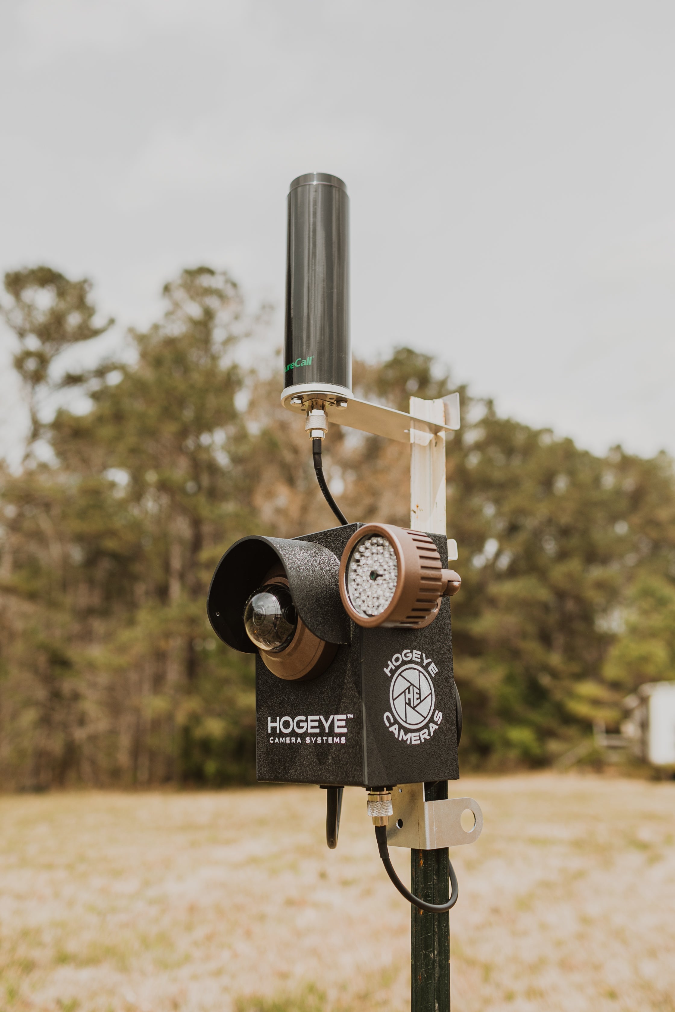 HogEye Camera attaches to any wild hog trap, giving you control to monitor and trap hogs when you're ready.