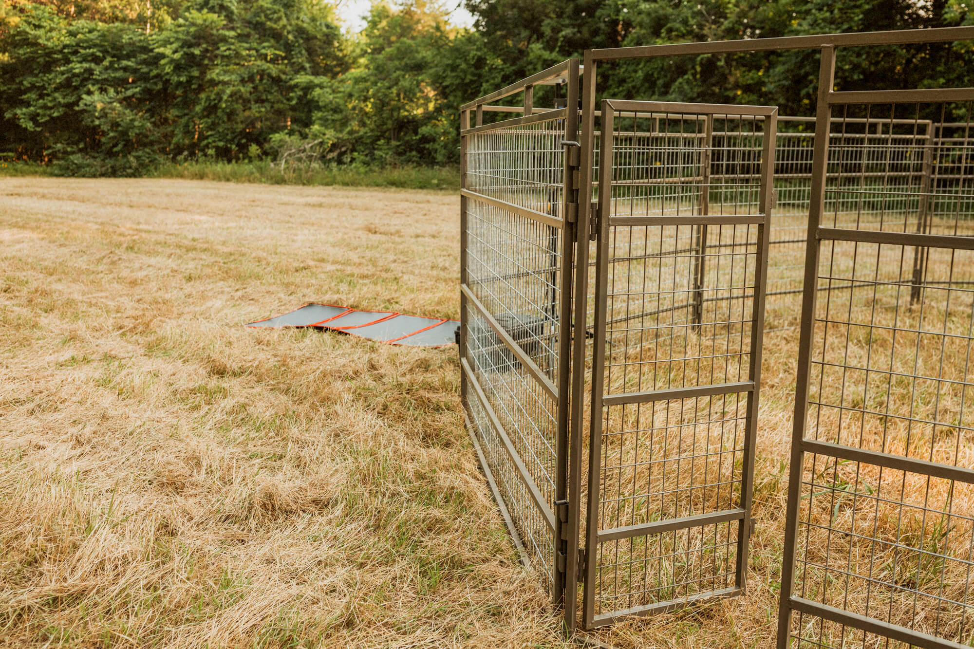Panel Trap w/HogEye Camera