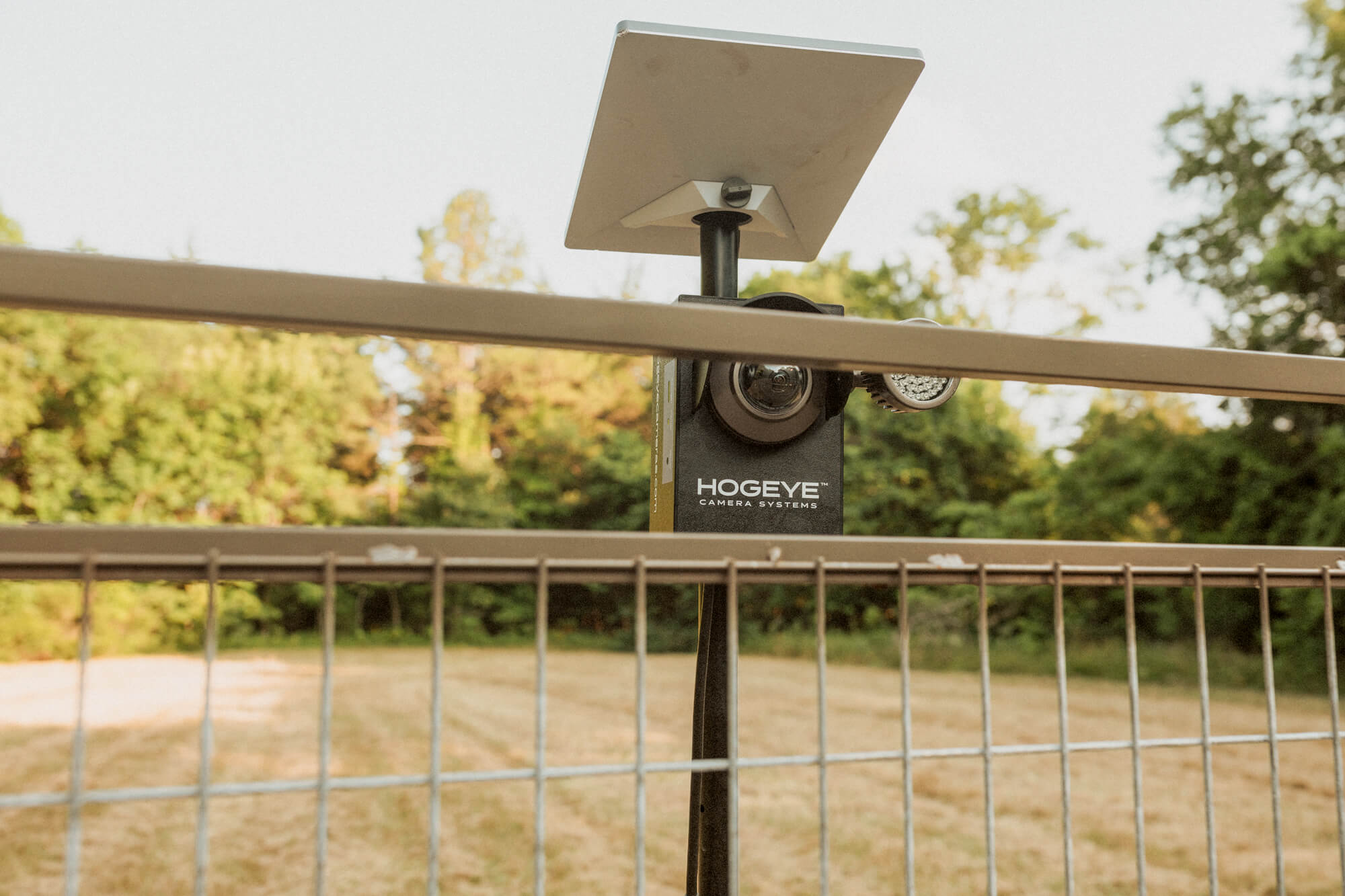 Panel Trap w/HogEye Camera