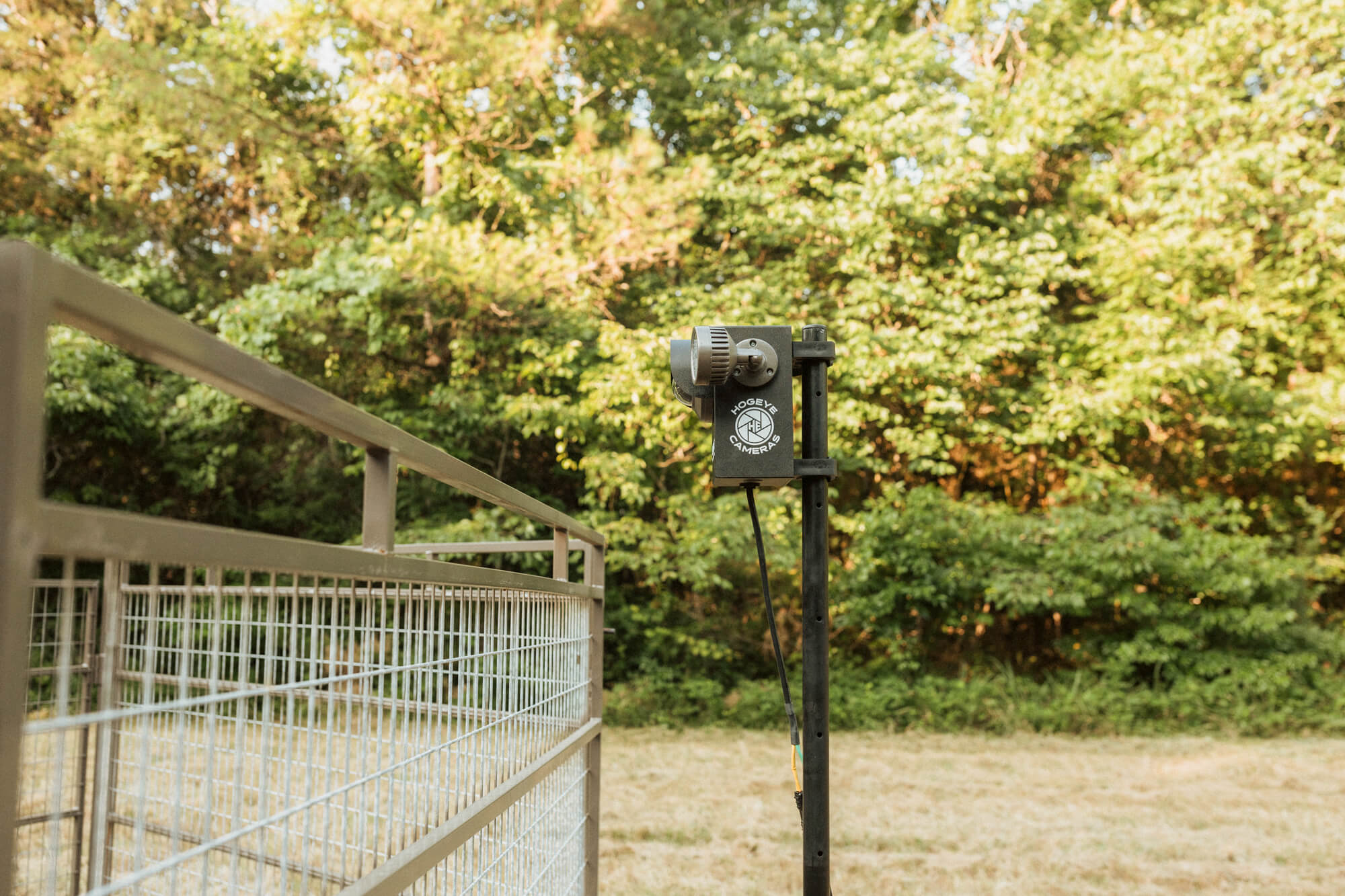 Panel Trap w/HogEye Camera