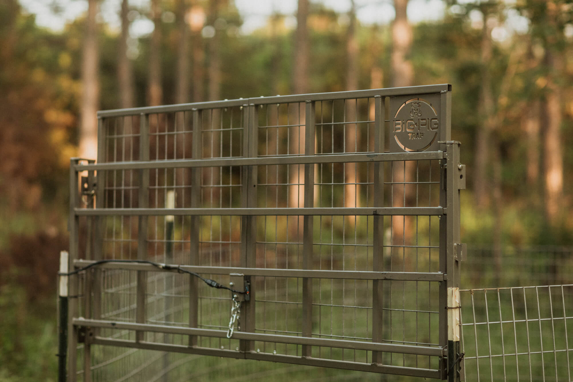 Split Gate w/HogEye Camera