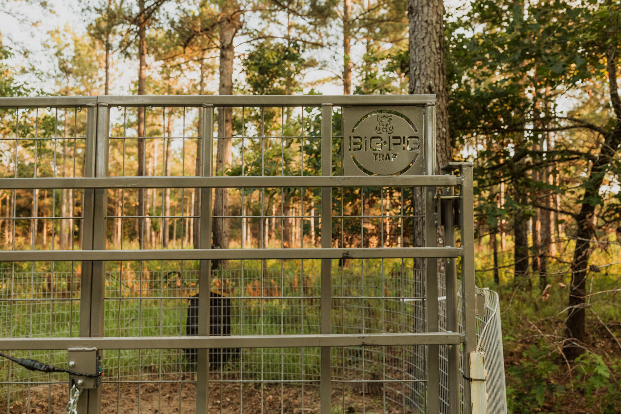 Split Gate w/HogEye Camera