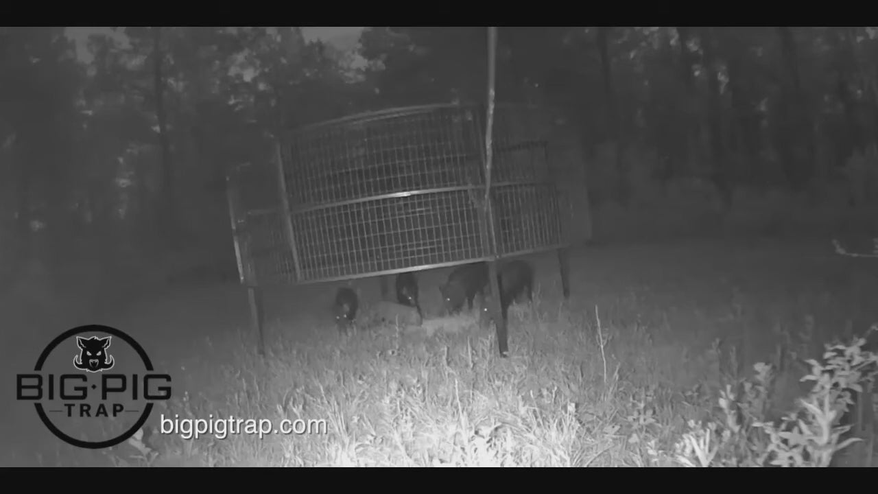 Load video: <p><span class="metafield-multi_line_text_field">The Big Pig Trap is customizable with multiple drop panels to give the wild hogs more entry points to enter the trap. </span></p>