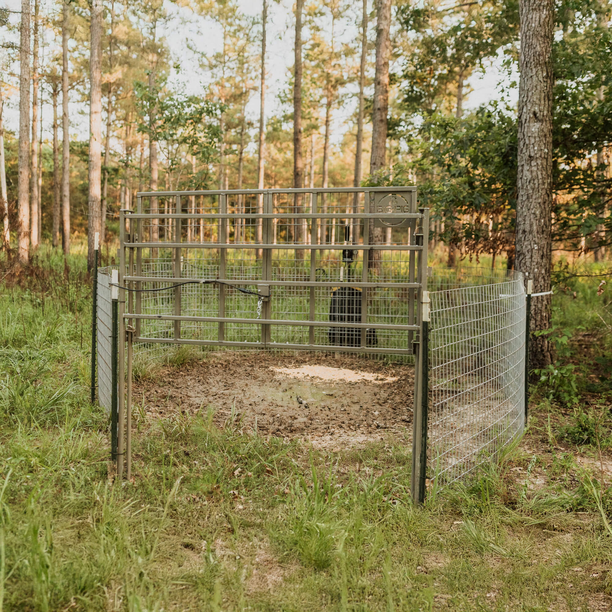 Split Gate w/HogEye Camera