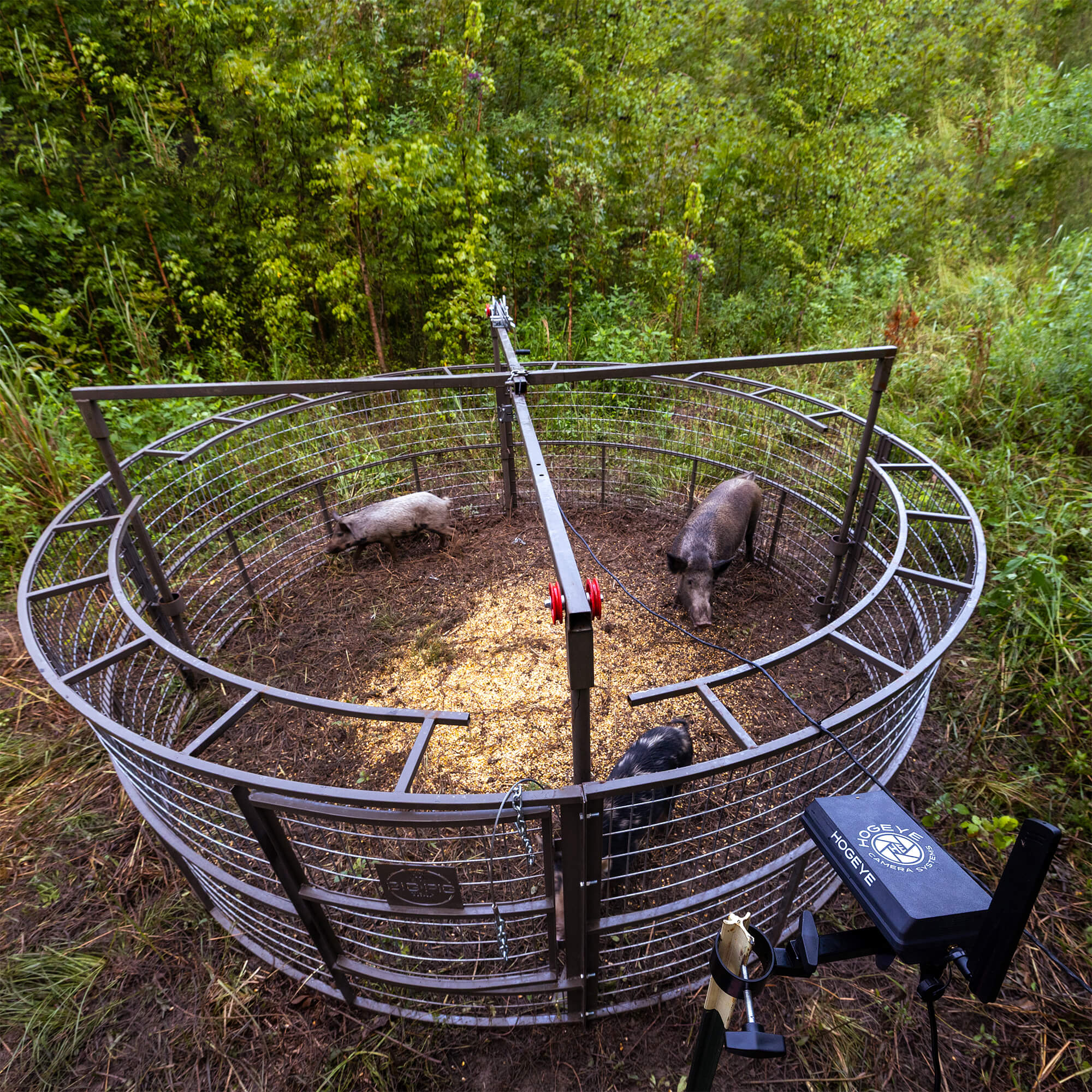 Orca Rop Trap Drop Trap w/HogEye Camera – Big Pig Traps
