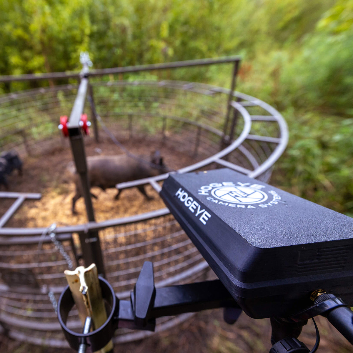 Orca Rop Trap Drop Trap w/HogEye Camera – Big Pig Traps