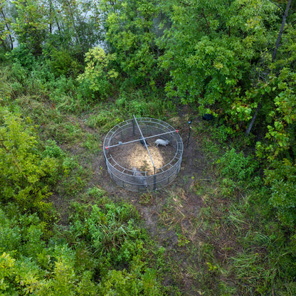 Drop Trap w/HogEye Camera