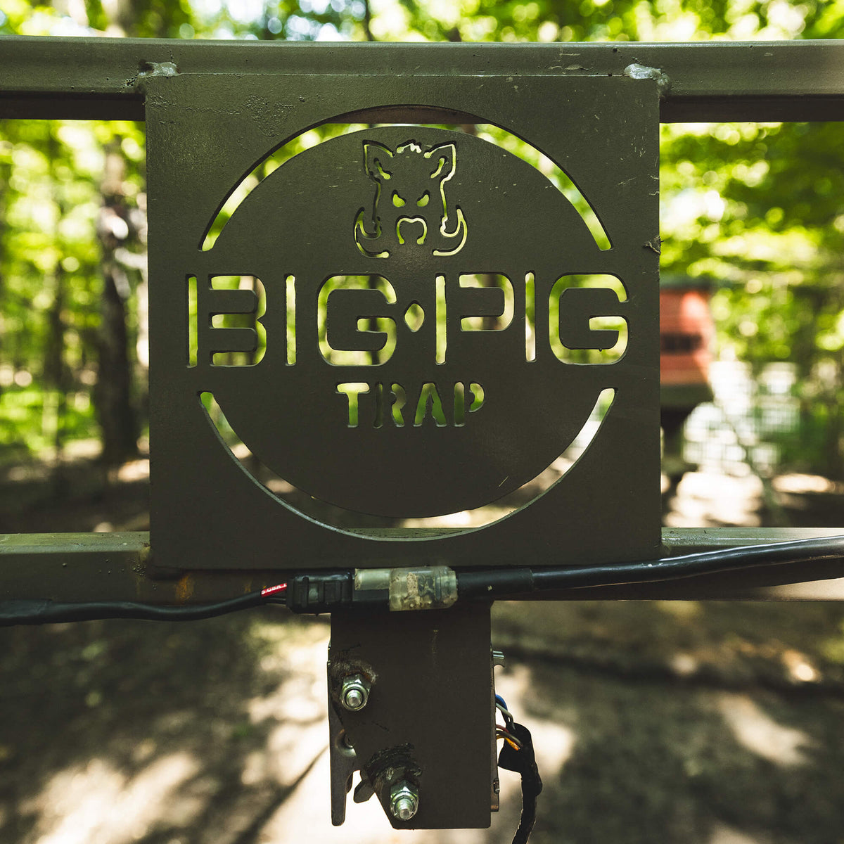 Panel Trap w/HogEye Camera – Big Pig Traps