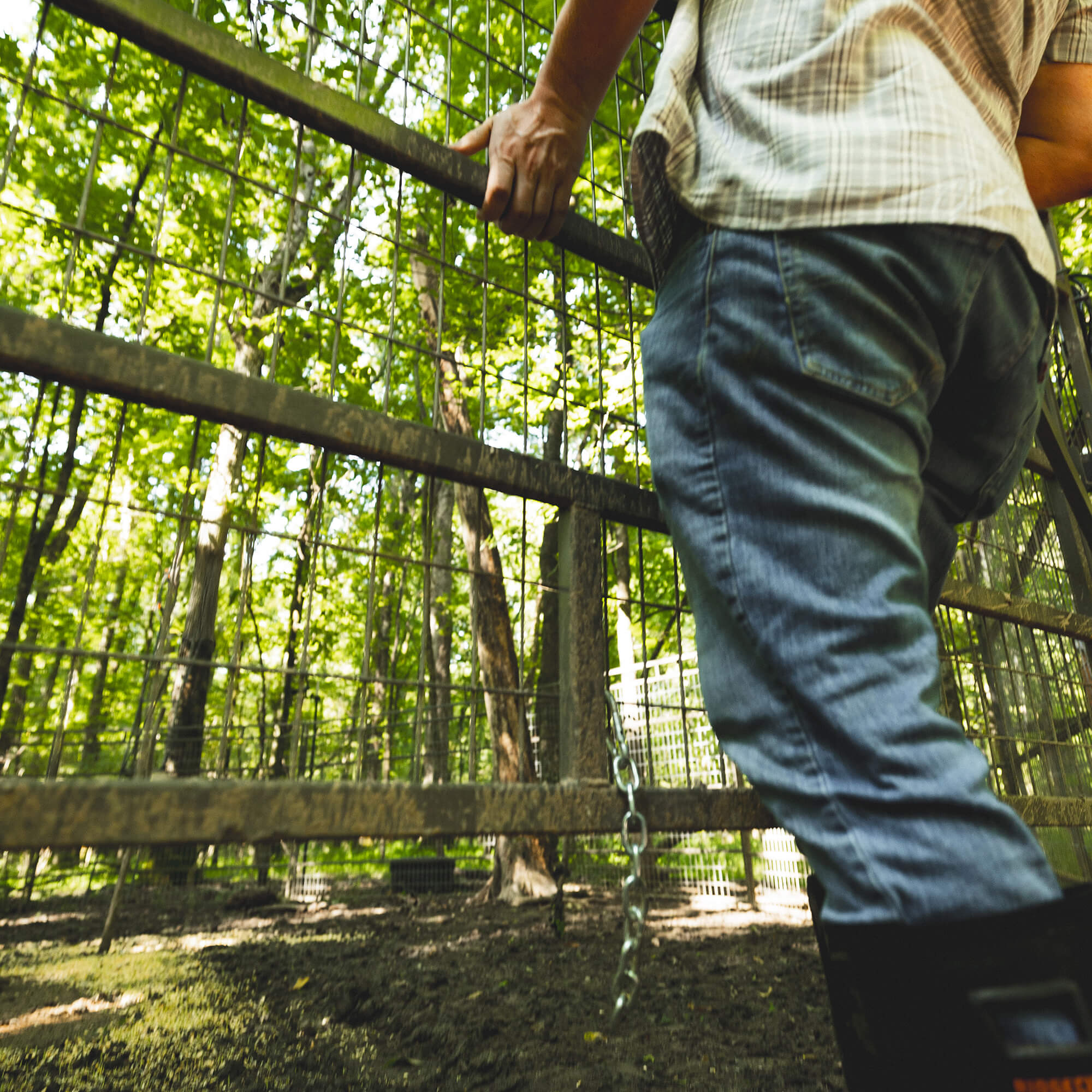 Panel Trap w/HogEye Camera