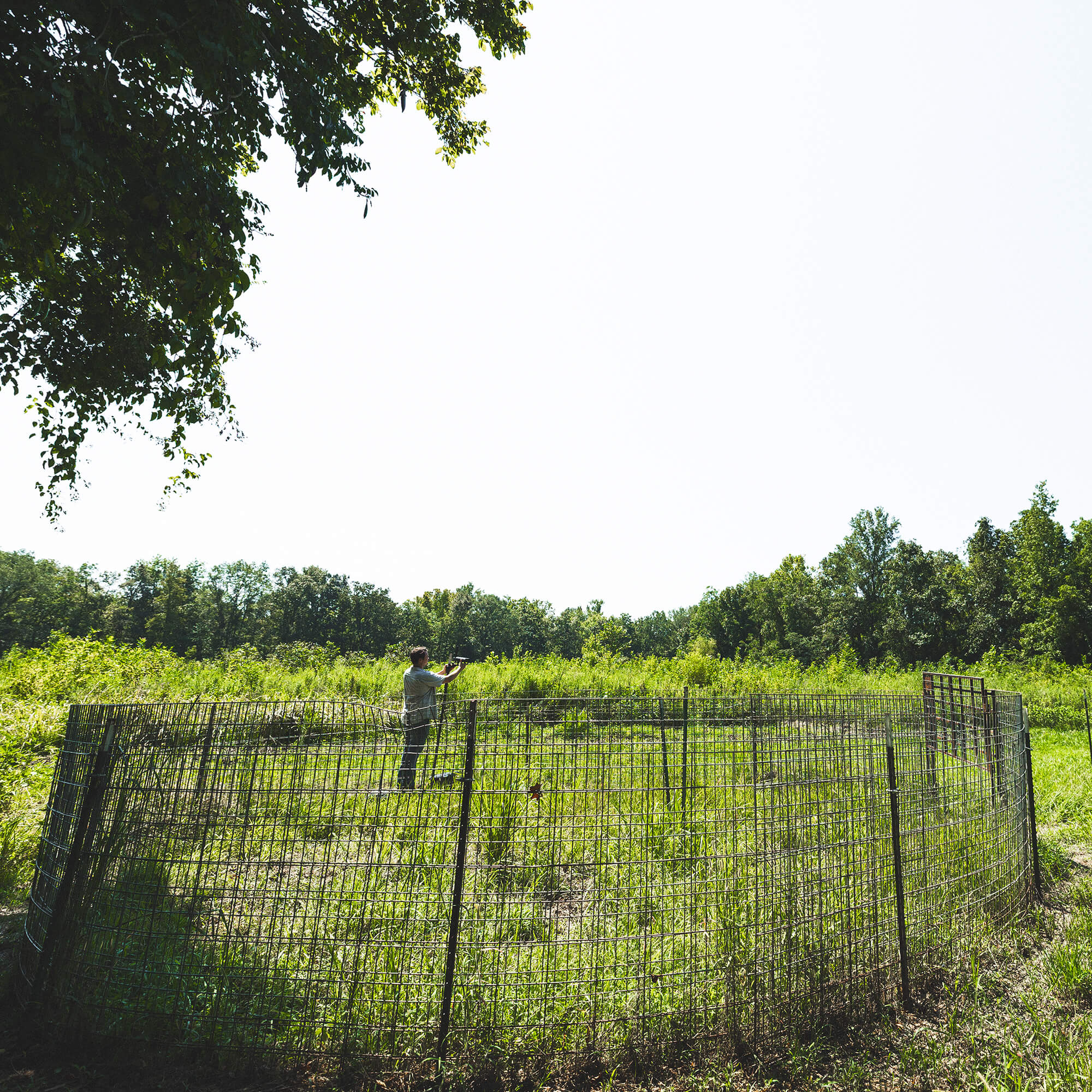 Split Gate w/HogEye Camera