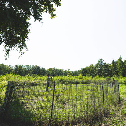 Split Gate w/HogEye Camera