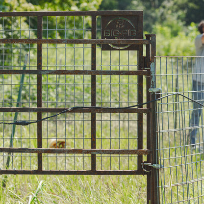 Split Gate w/HogEye Camera