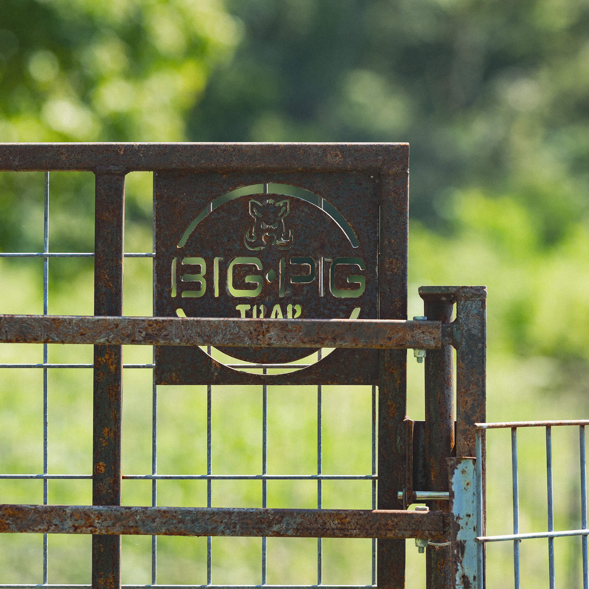 Split Gate w/HogEye Camera