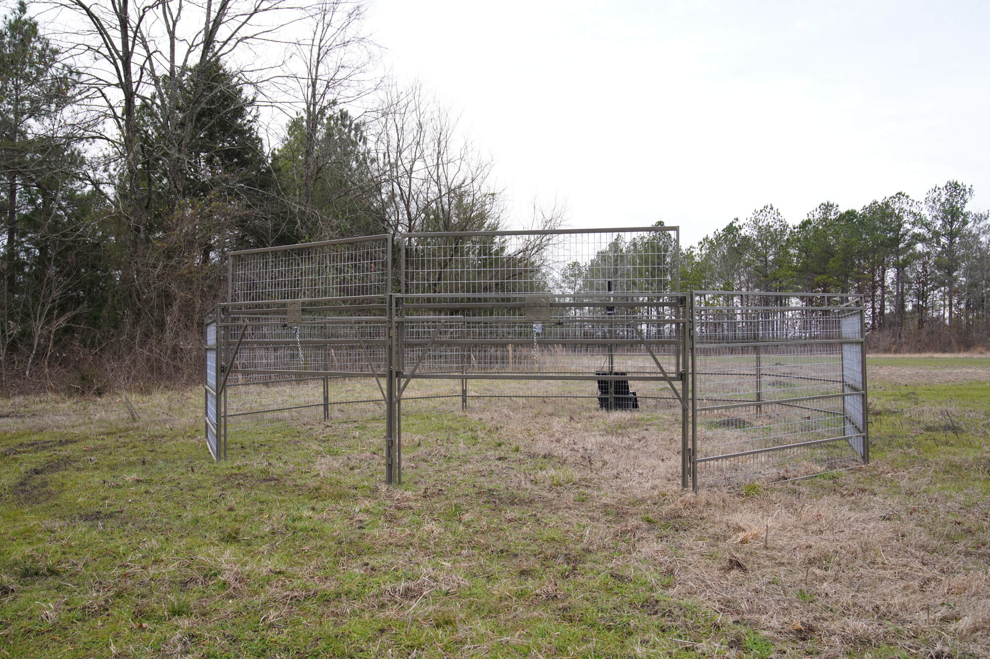 Panel Trap w/HogEye Camera