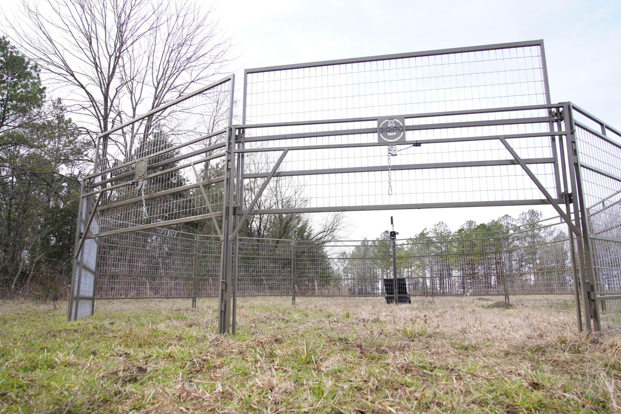 Panel Trap w/HogEye Camera