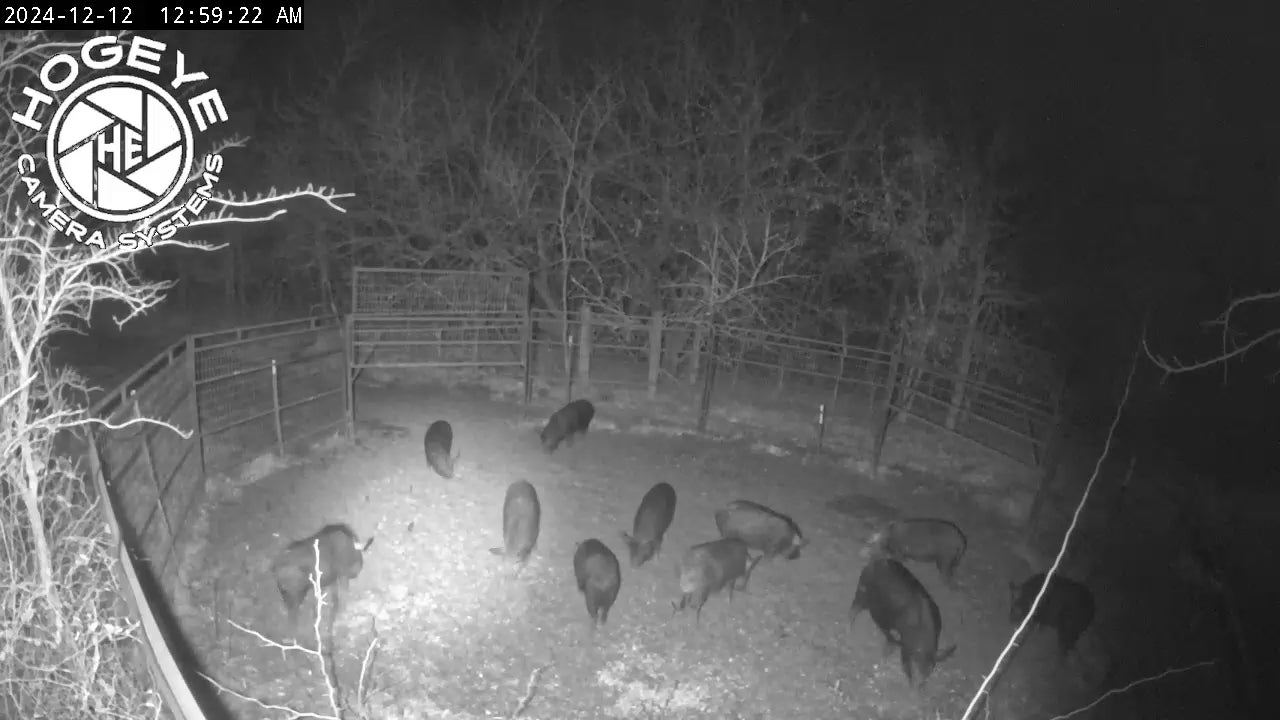 Load video: &lt;p&gt;&lt;span class=&quot;metafield-multi_line_text_field&quot;&gt;The Big Pig Trap is customizable with multiple drop panels to give the wild hogs more entry points to enter the trap. &lt;/span&gt;&lt;/p&gt;