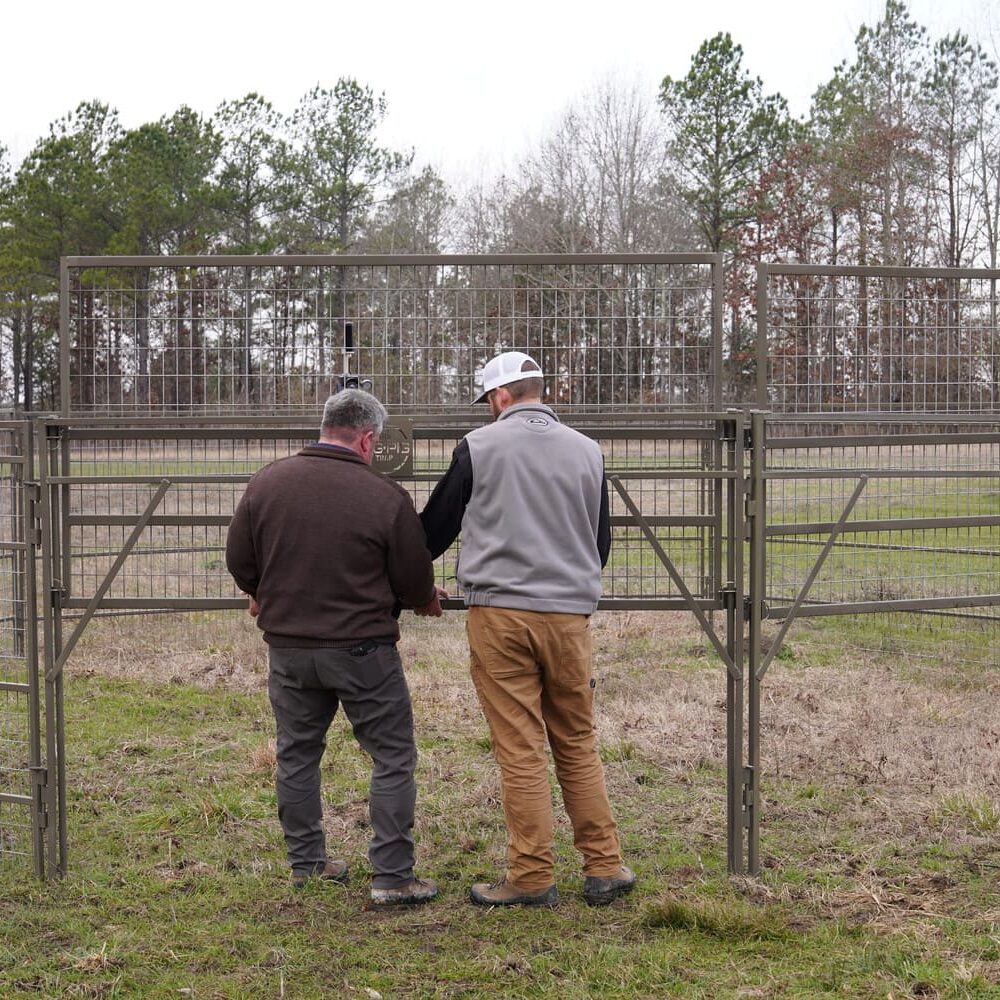 two men in field setting up feral hog panel trap