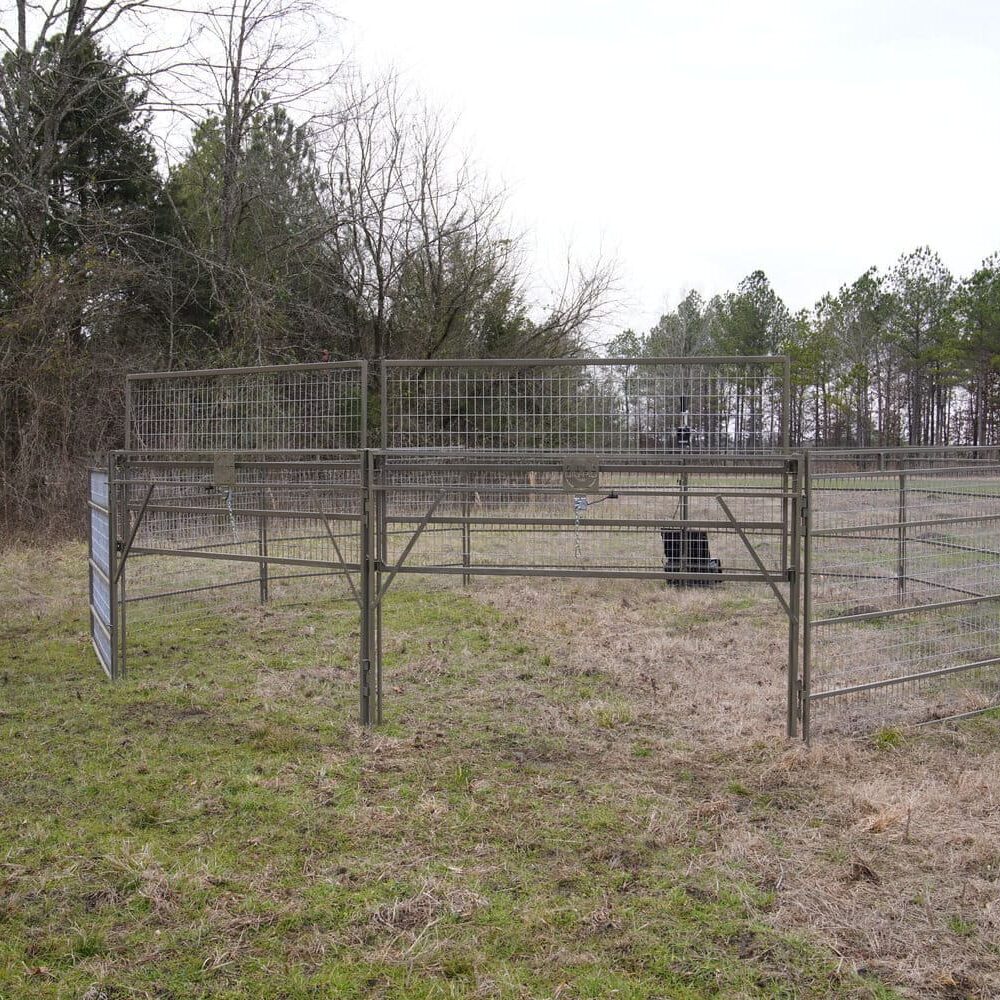 feral hog panel trap in field
